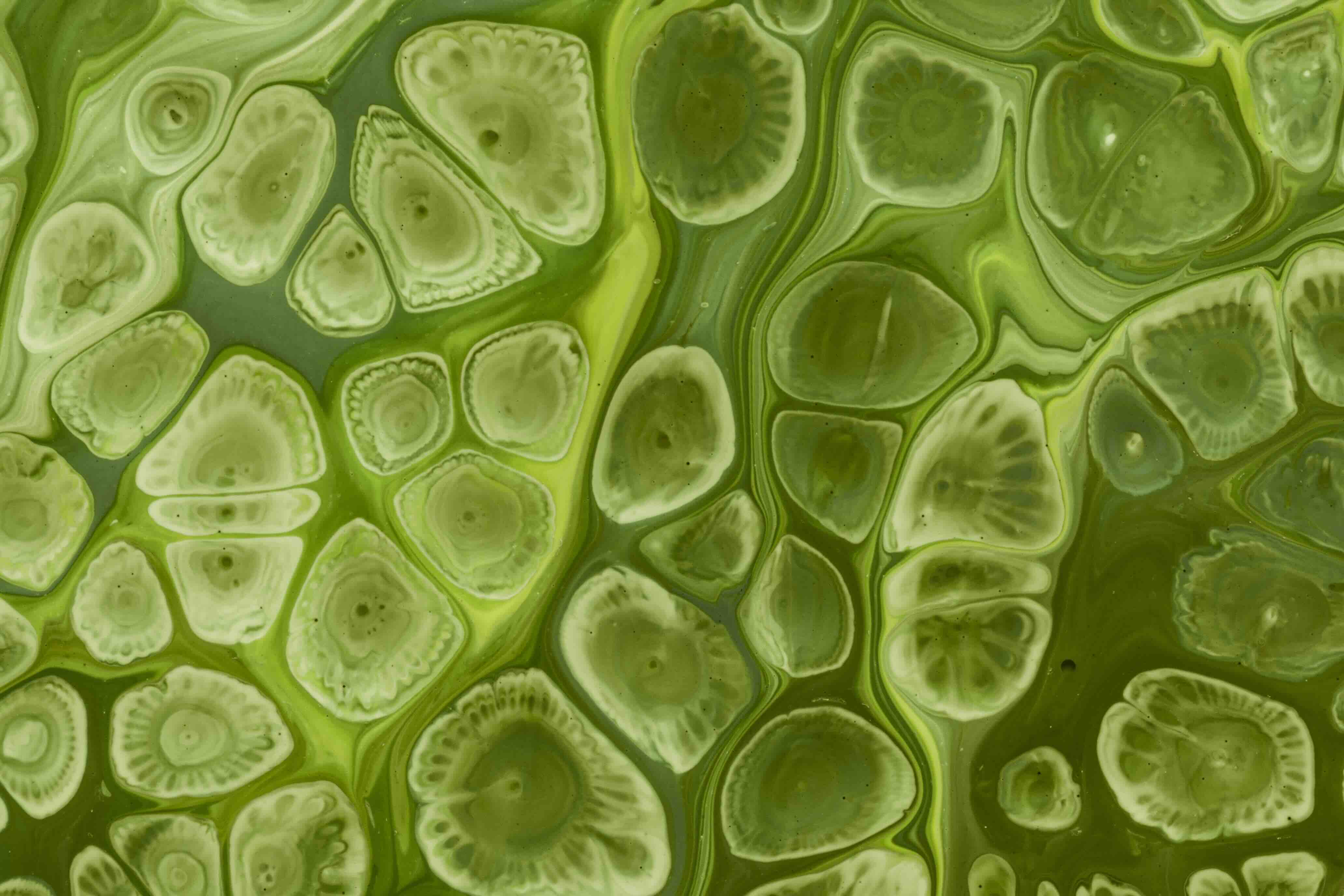 green-waves-bubbles-fluid-acrylic-pour-painting.jpeg
